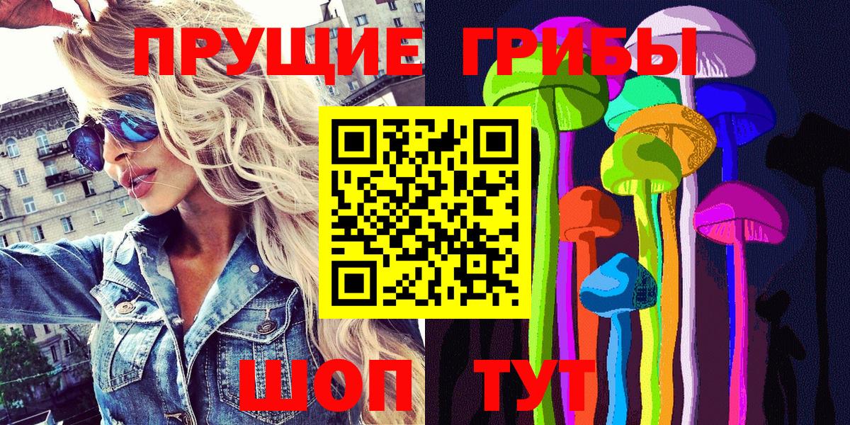 Псилоцибиновые грибы Psilocybe Краснотурьинск