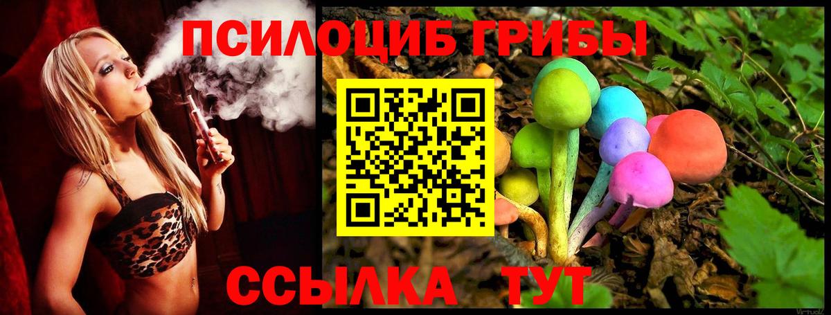 Краснотурьинск  Псилоцибиновые грибы GOLDEN TEACHER  Галлюциногенные грибы GOLDEN TEACHER  Вход с VPN 
